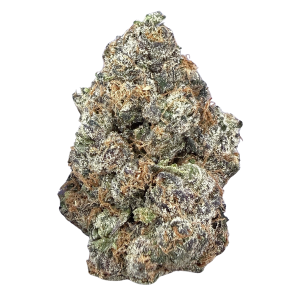 Bscotti- Indica Hybrid