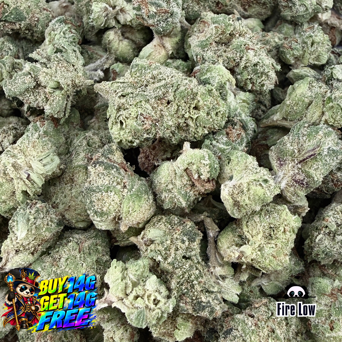 (Bogo 14g Get 14g Free)Garlicane Micro- Indica Hybrid