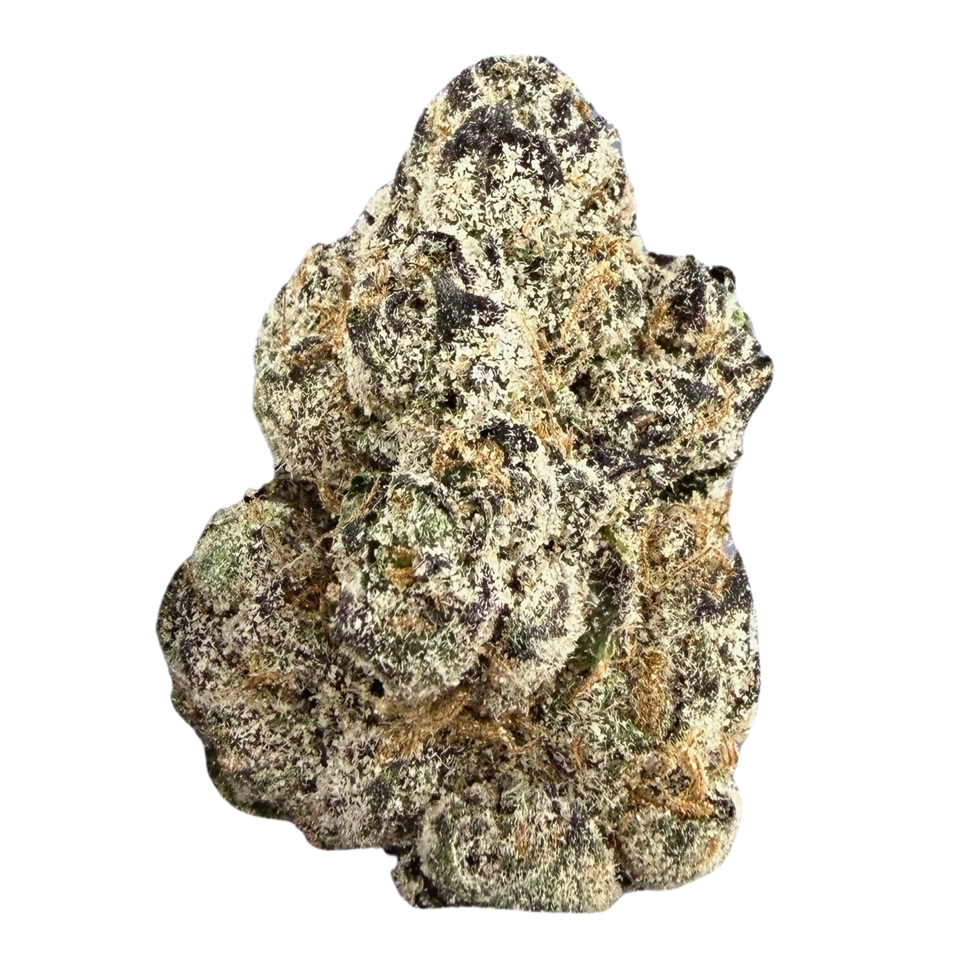 Candy Gelato- Hybrid