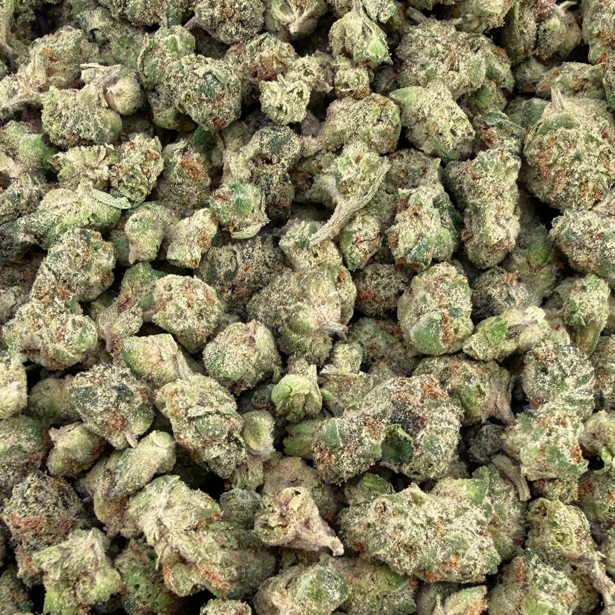 Donny Burger Micro- Indica (Wholesale)