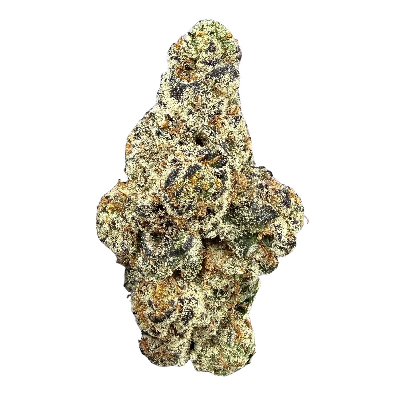 Garlicane - Indica Hybrid