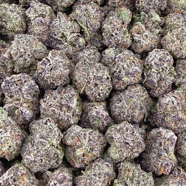 Gelato 41 Smalls - Hybrid