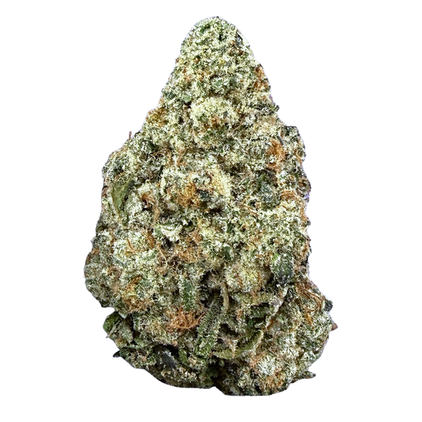 Georgia Pie- Hybrid