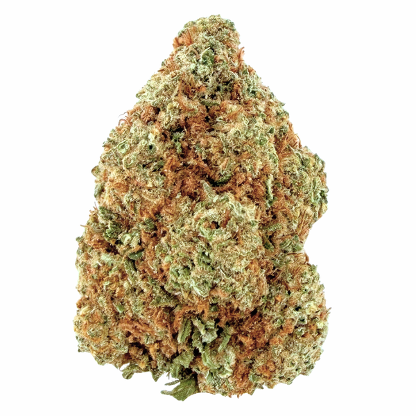 MAC 1- Hybrid