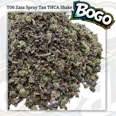 (Buy 1 Get 2) T06 Zaza Spray Tan Shake