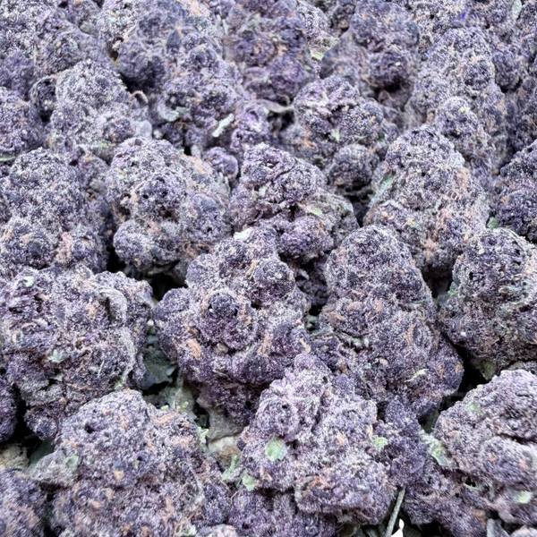 Tropicana Cookies Smalls- Sativa Hybrid