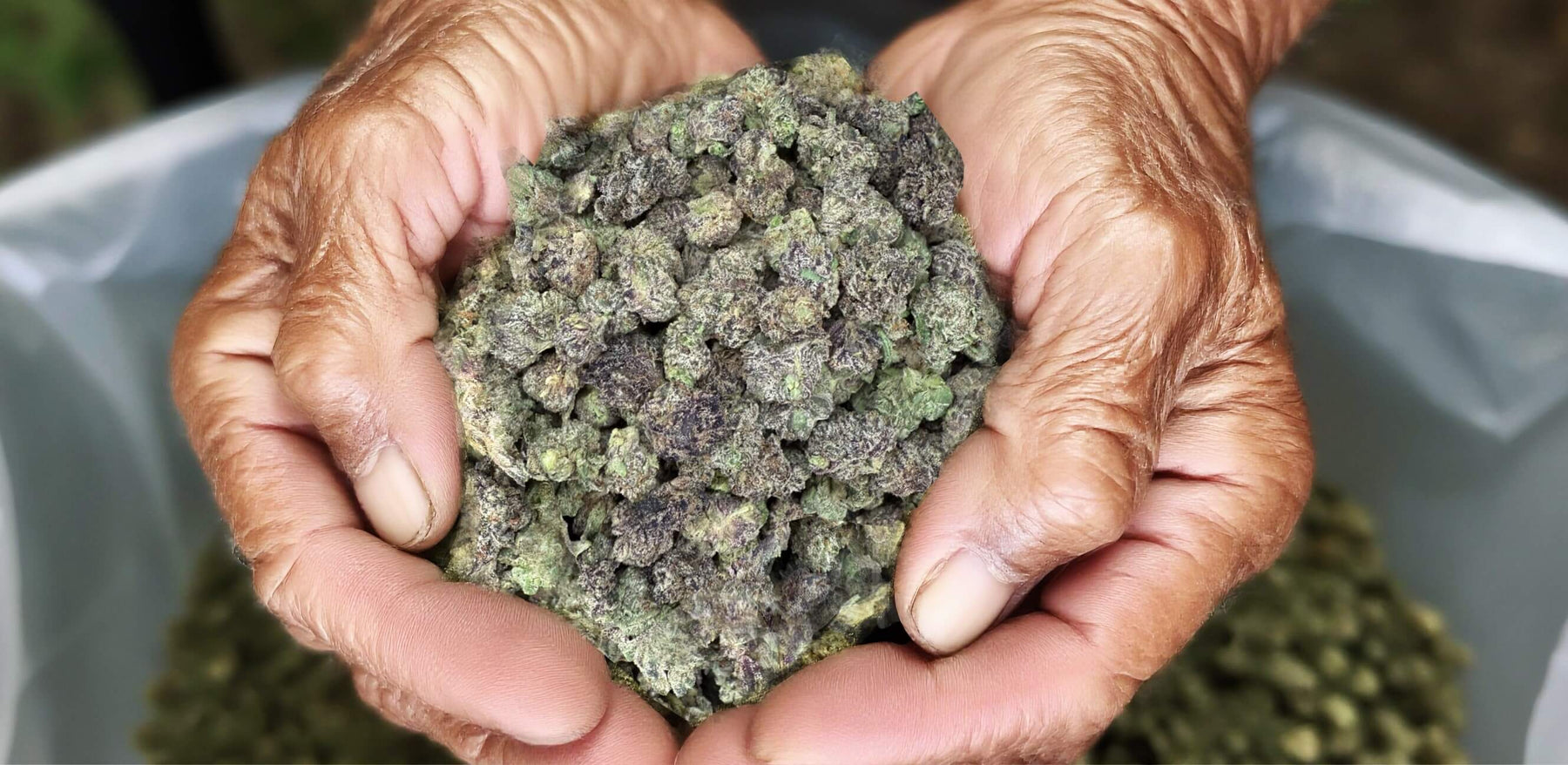 THCA Flower Smalls Bulk