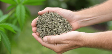 THCa Shake / Snowcaps Bulk