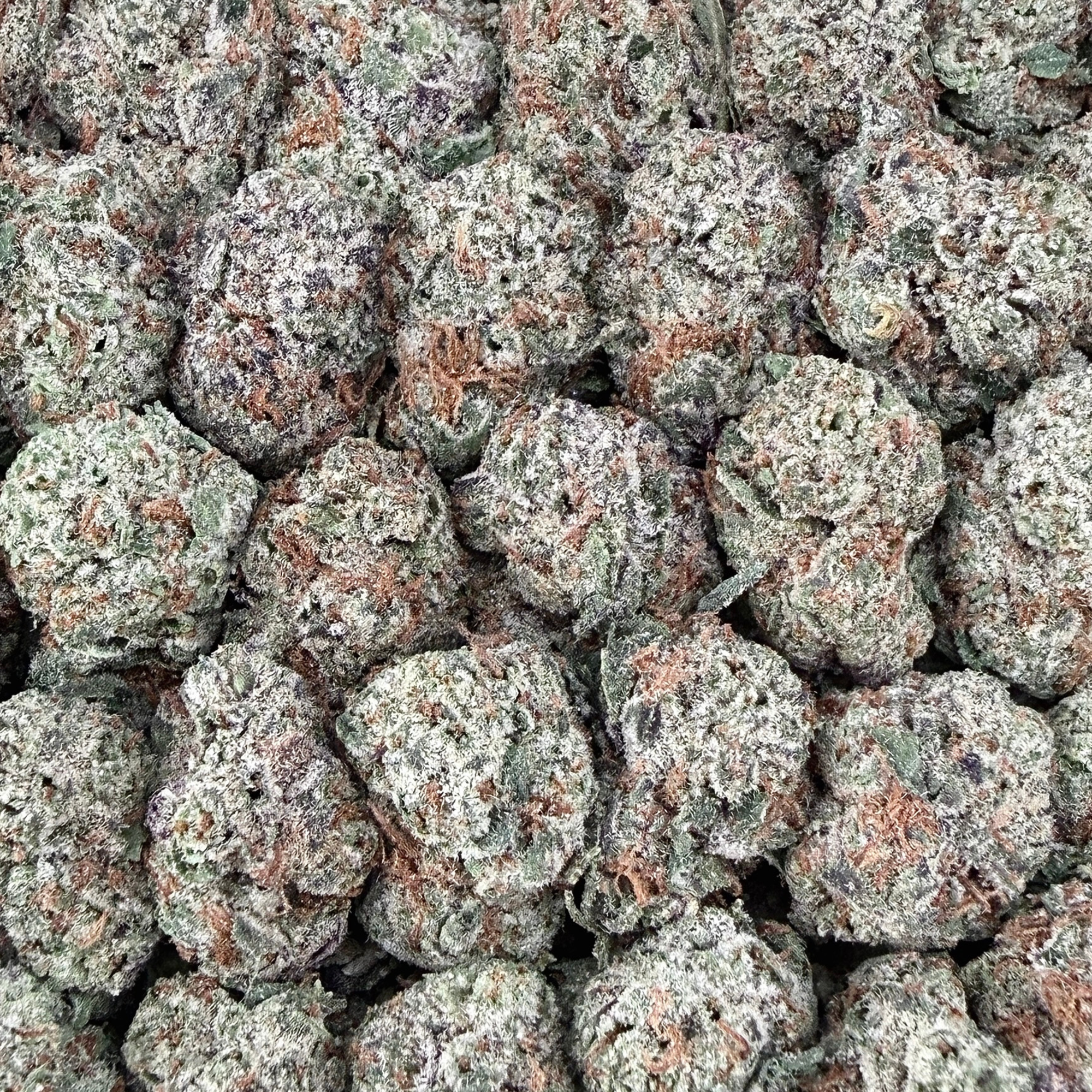 B-day Cake Smalls- Indica Hybrid