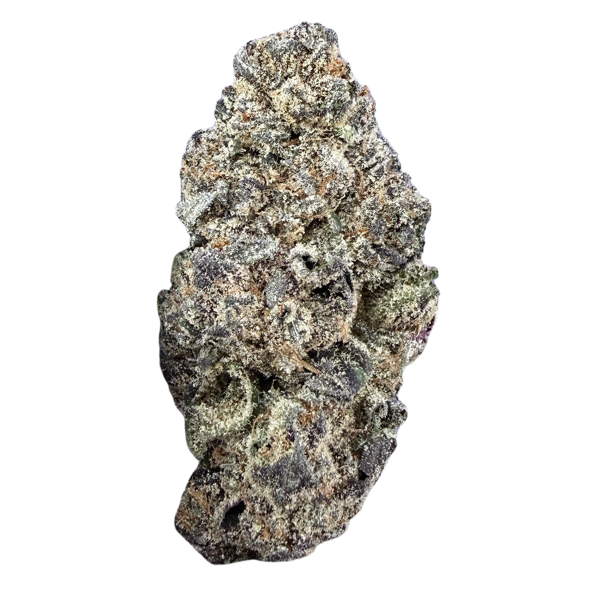 Berry White- Hybrid