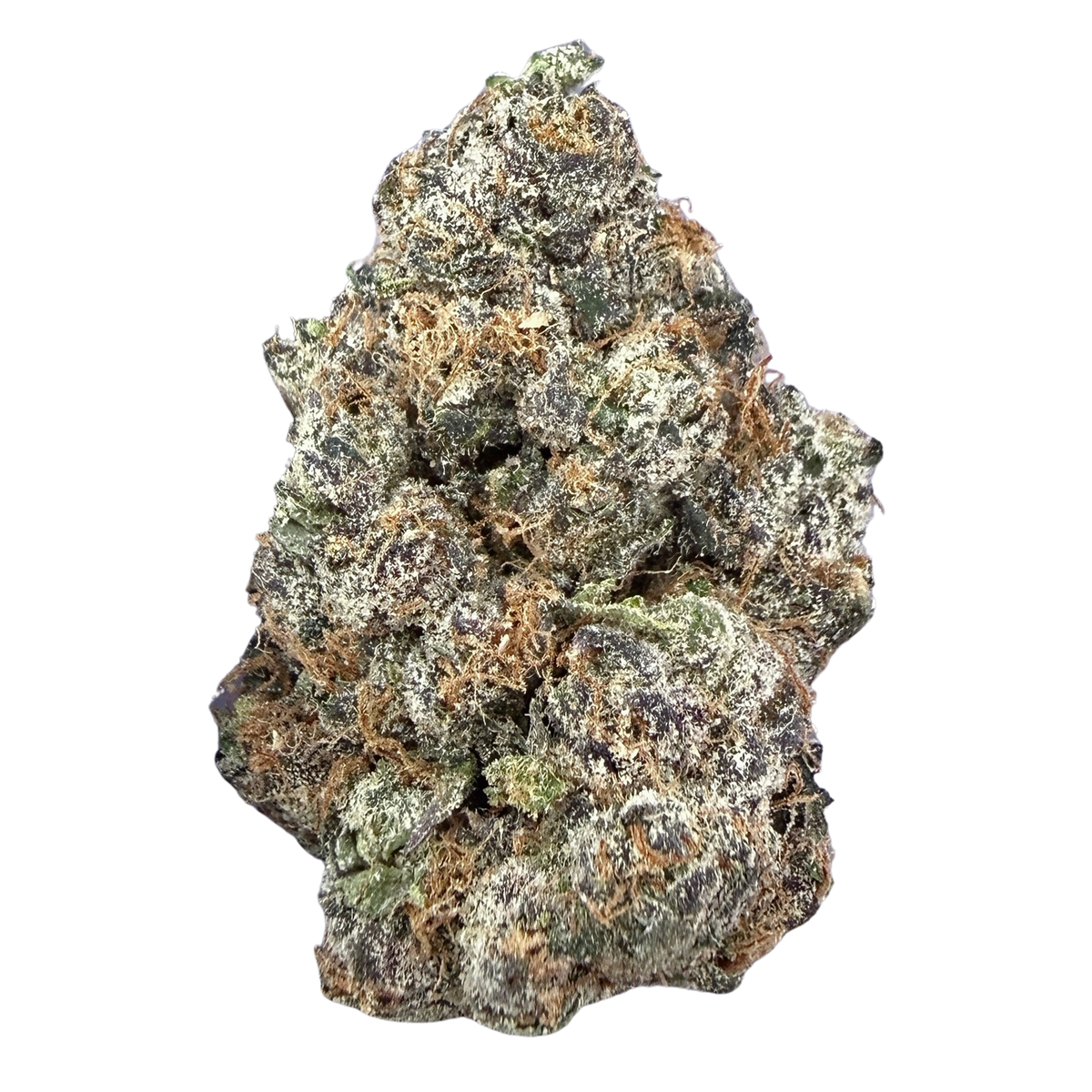 Bscotti- Indica Hybrid