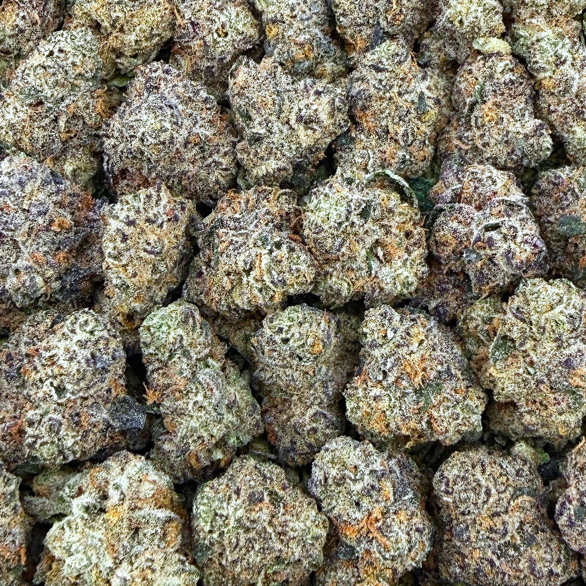 Bscotti Smalls- Indica Hybrid