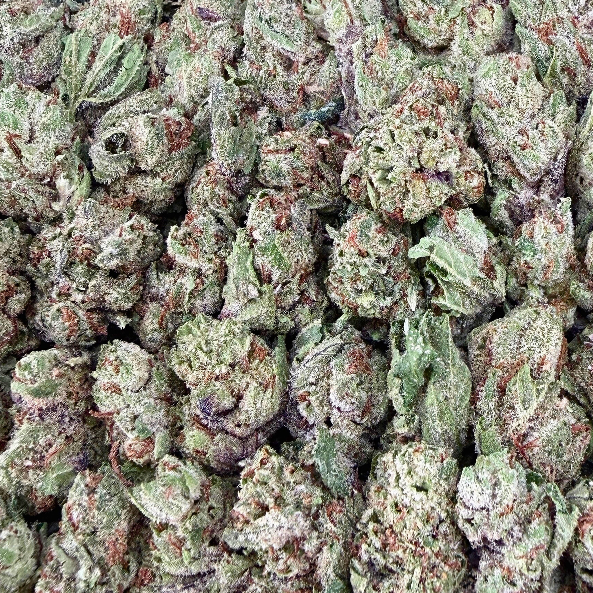 Biscotti Smalls- Indica Hybrid (Wholesale)