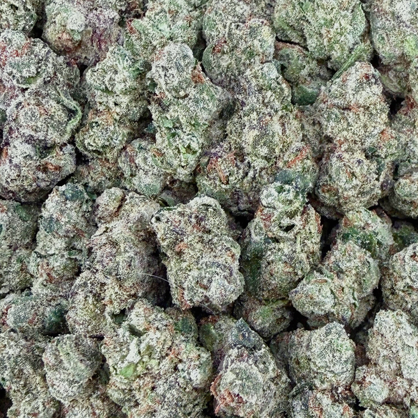 Blue Nerds Smalls- Indica Hybrid