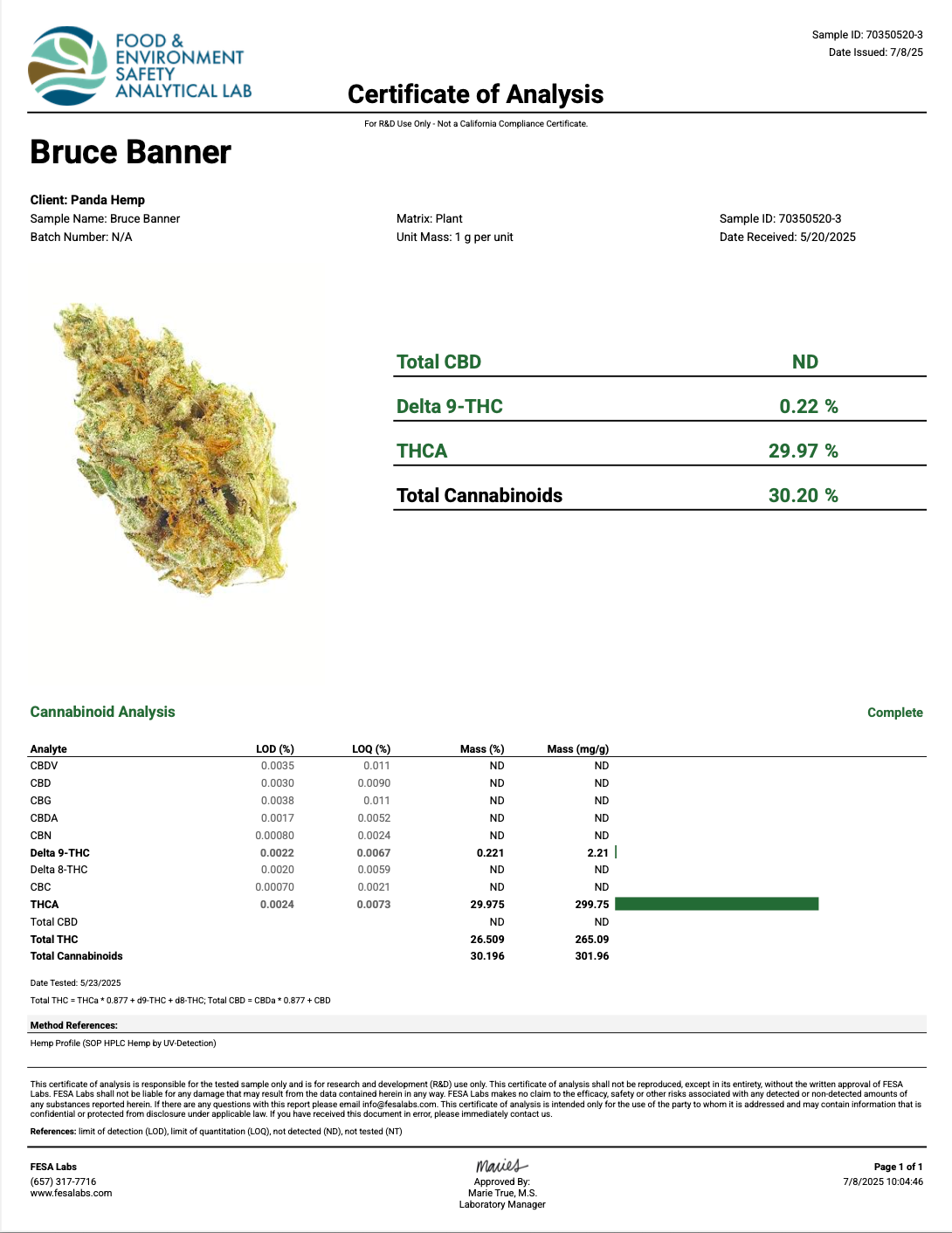 Bruce Banner ( Wholesale )