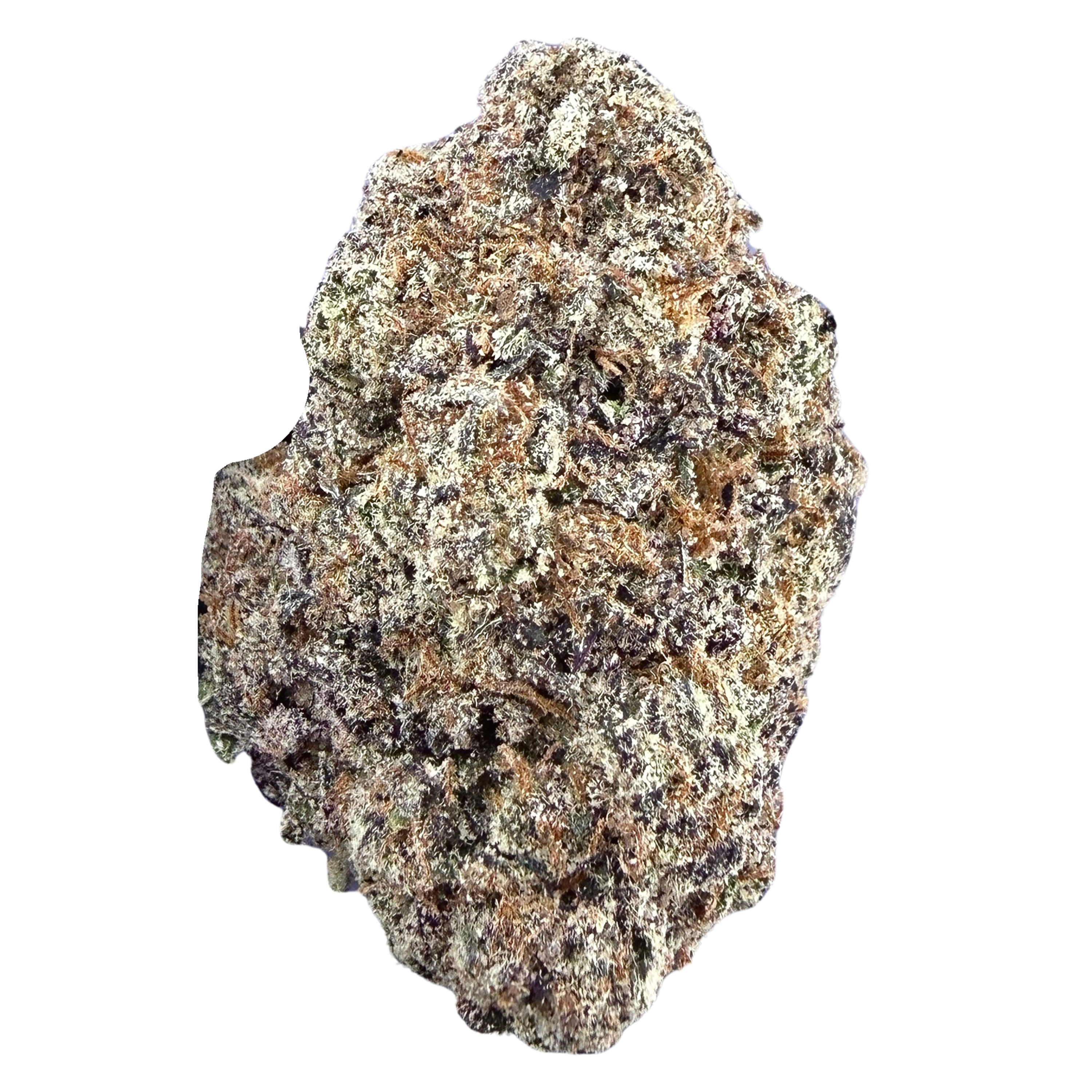 Exotic Bubblegum- Indica Hybrid ( Wholesale )