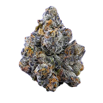 Candy Gelato - Hybrid