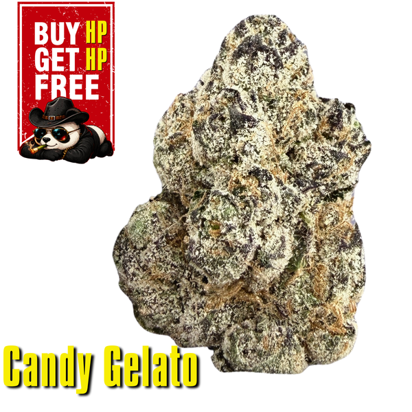 (BOGO buy HP get HP) Candy Gelato- Hybrid