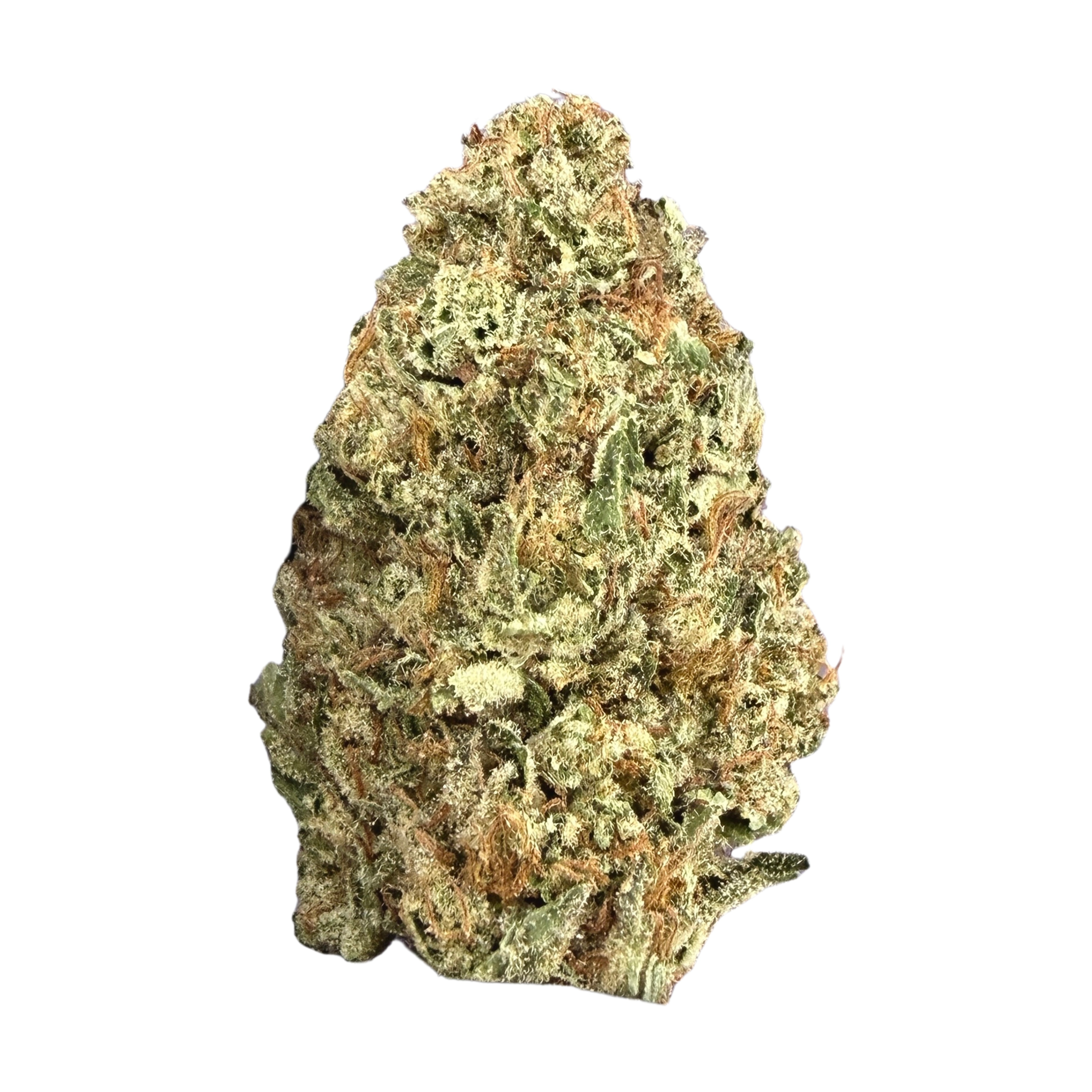 Cheetah Piss - Hybrid