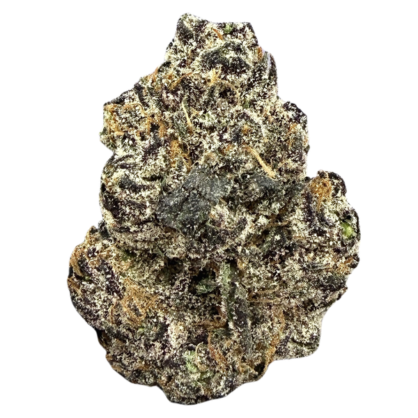 Creamlato- Hybrid