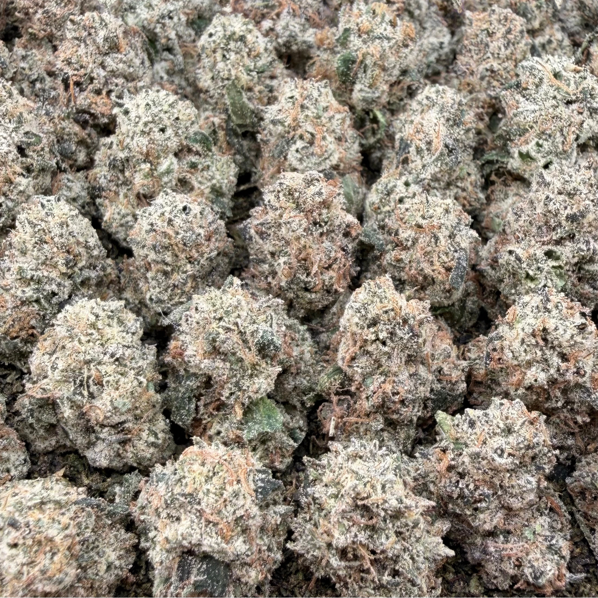 Fruity Pebbles Smalls- Hybrid