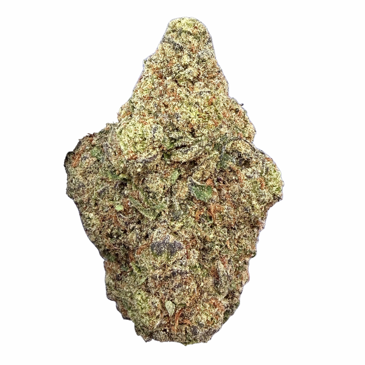 Glitter Bomb - Indica Hybrid