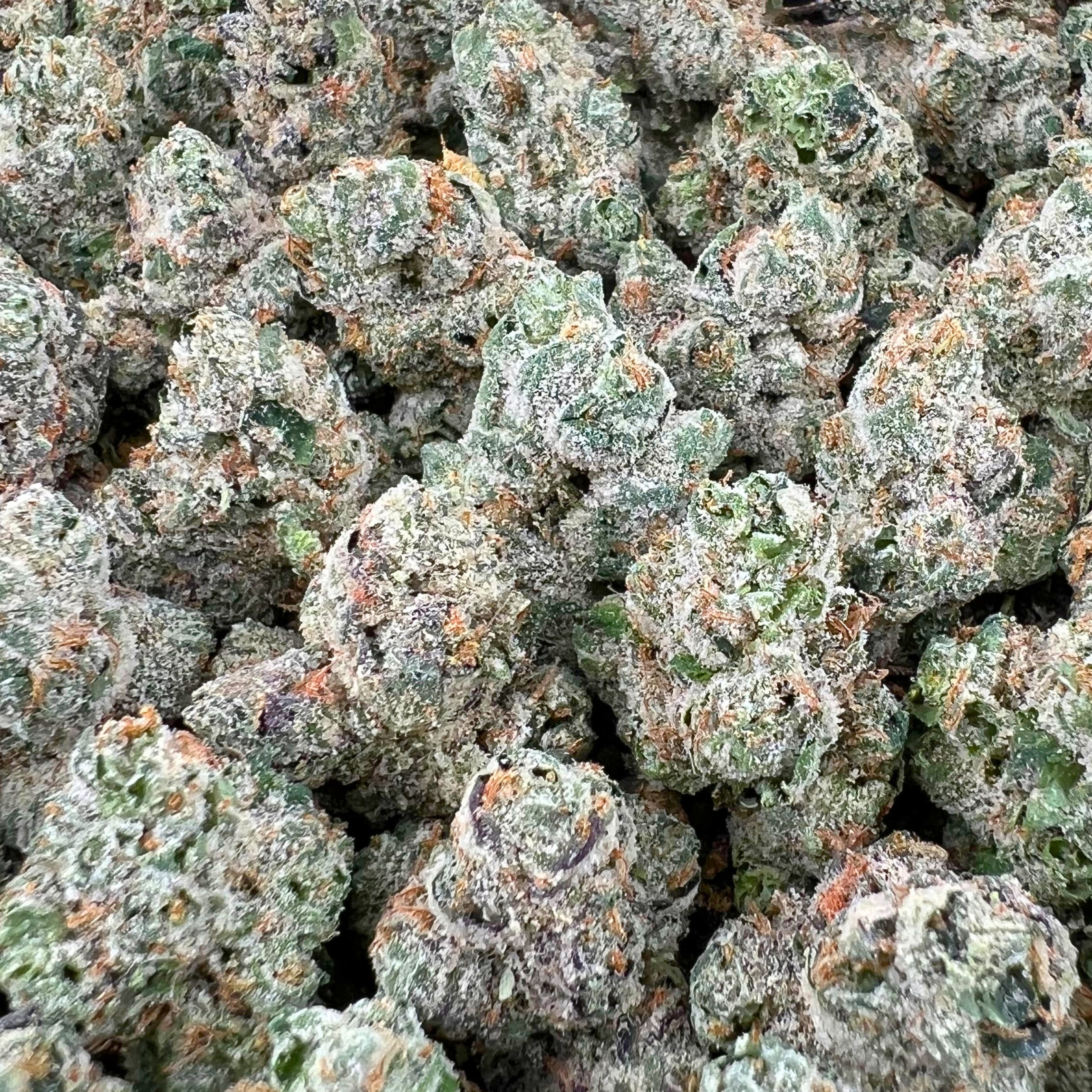 Gary Payton Smalls - Hybrid