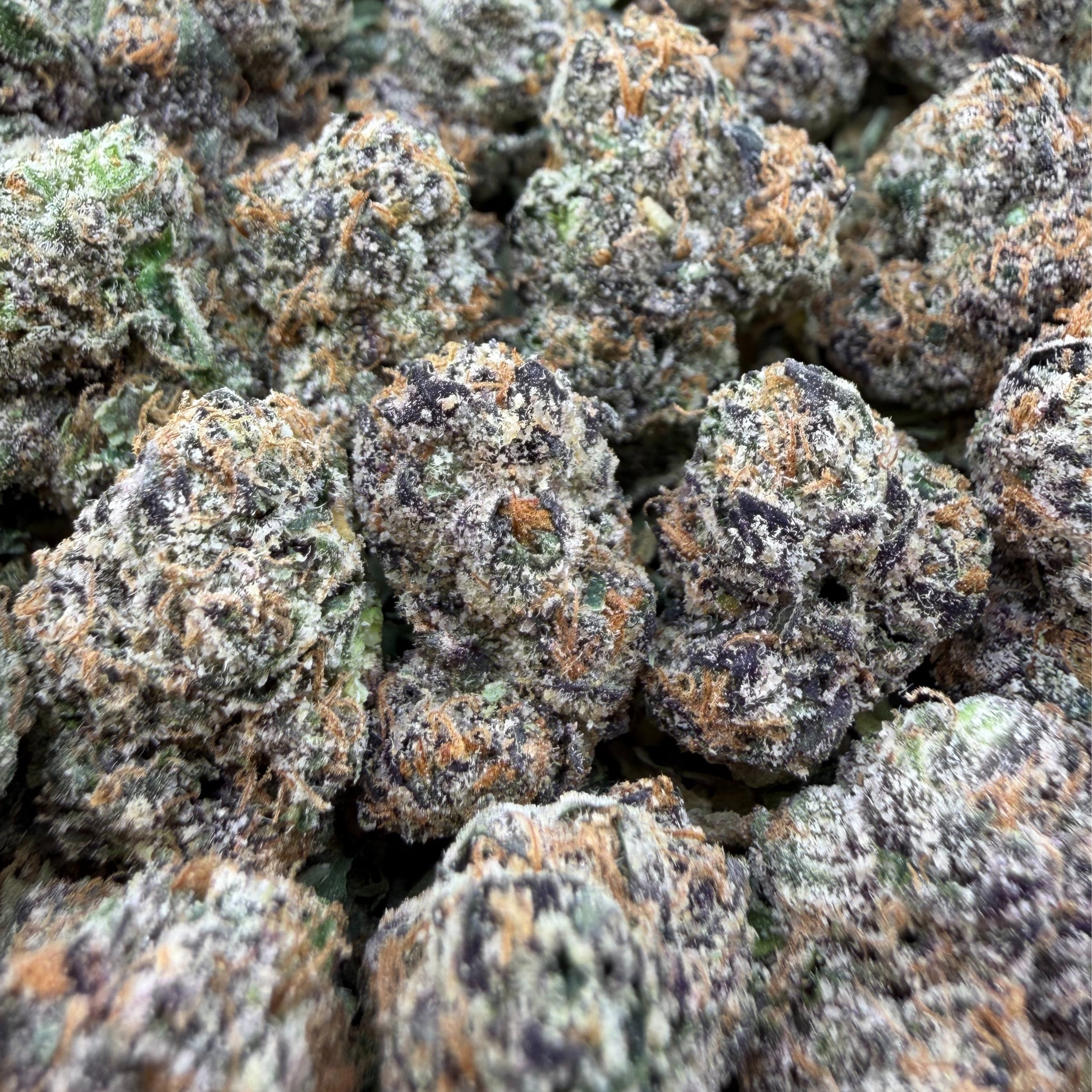 Gelato Smalls - Hybrid ( wholesale )