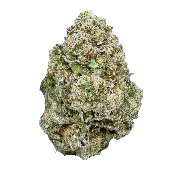 Gelato - Hybrid
