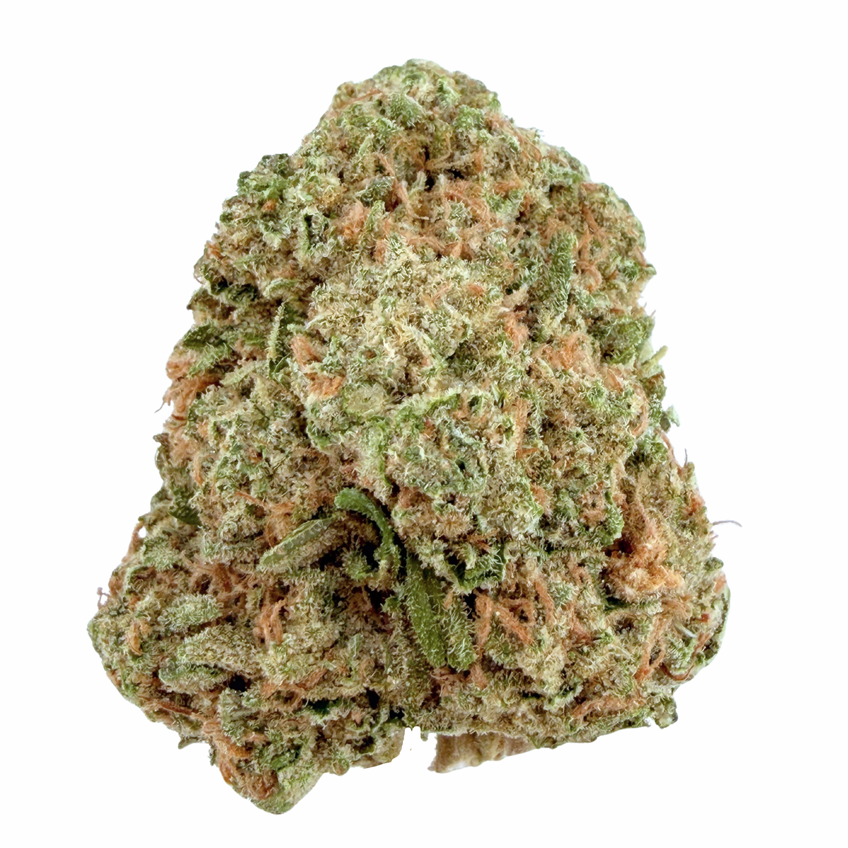 Gelato- Hybrid