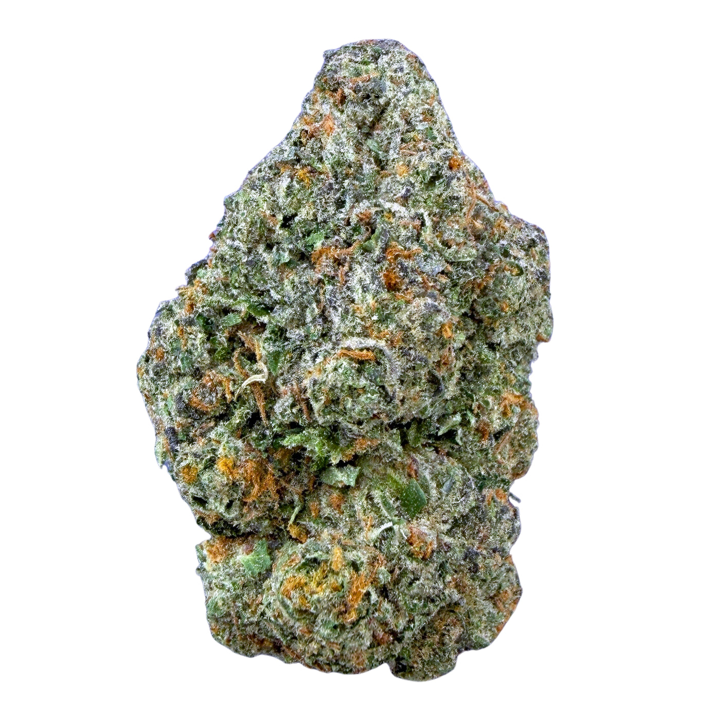 Gelato 41- Hybrid
