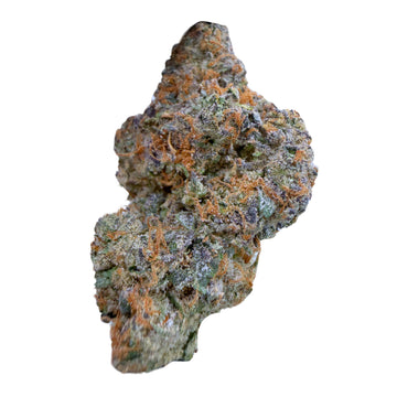 Georgia Pie- Hybrid  ( Wholesale )