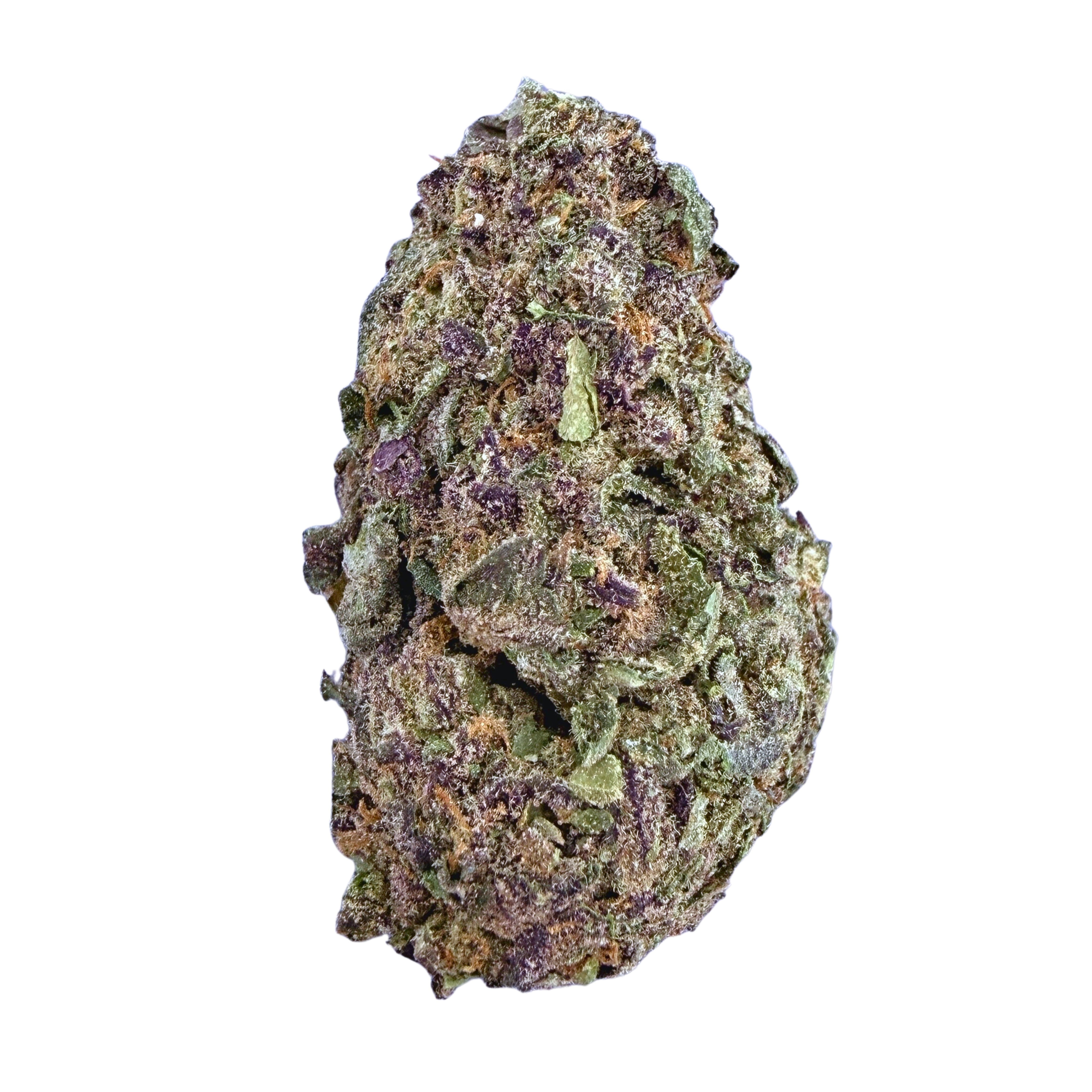 Lion's Cake - Hybrid