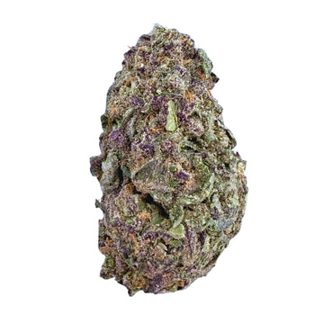 Lion's Cake - Hybrid