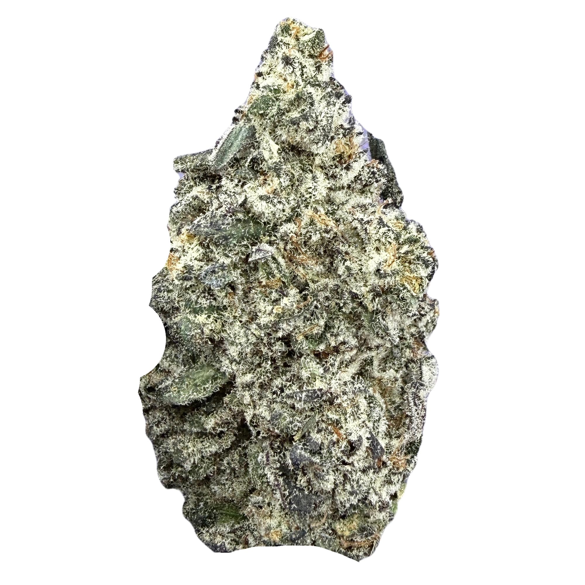 Oreo Blizzard- Hybrid