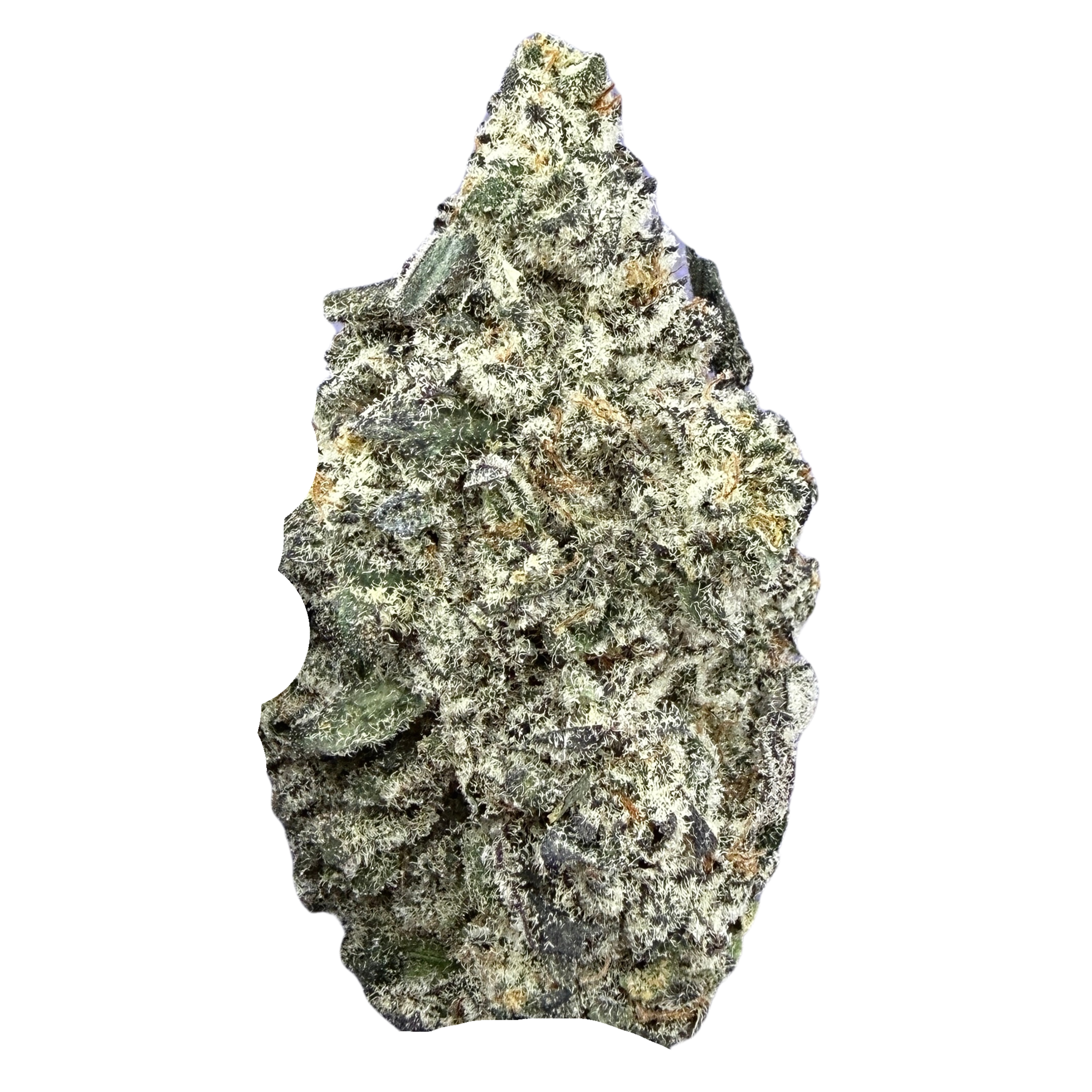 Oreo Blizzard- Hybrid