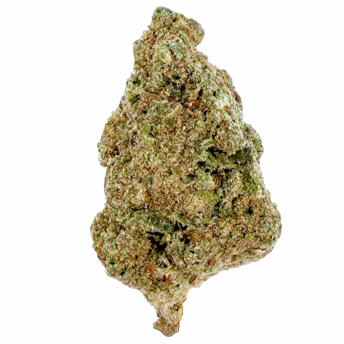 Papaya- Indica Hybrid (Wholesale)