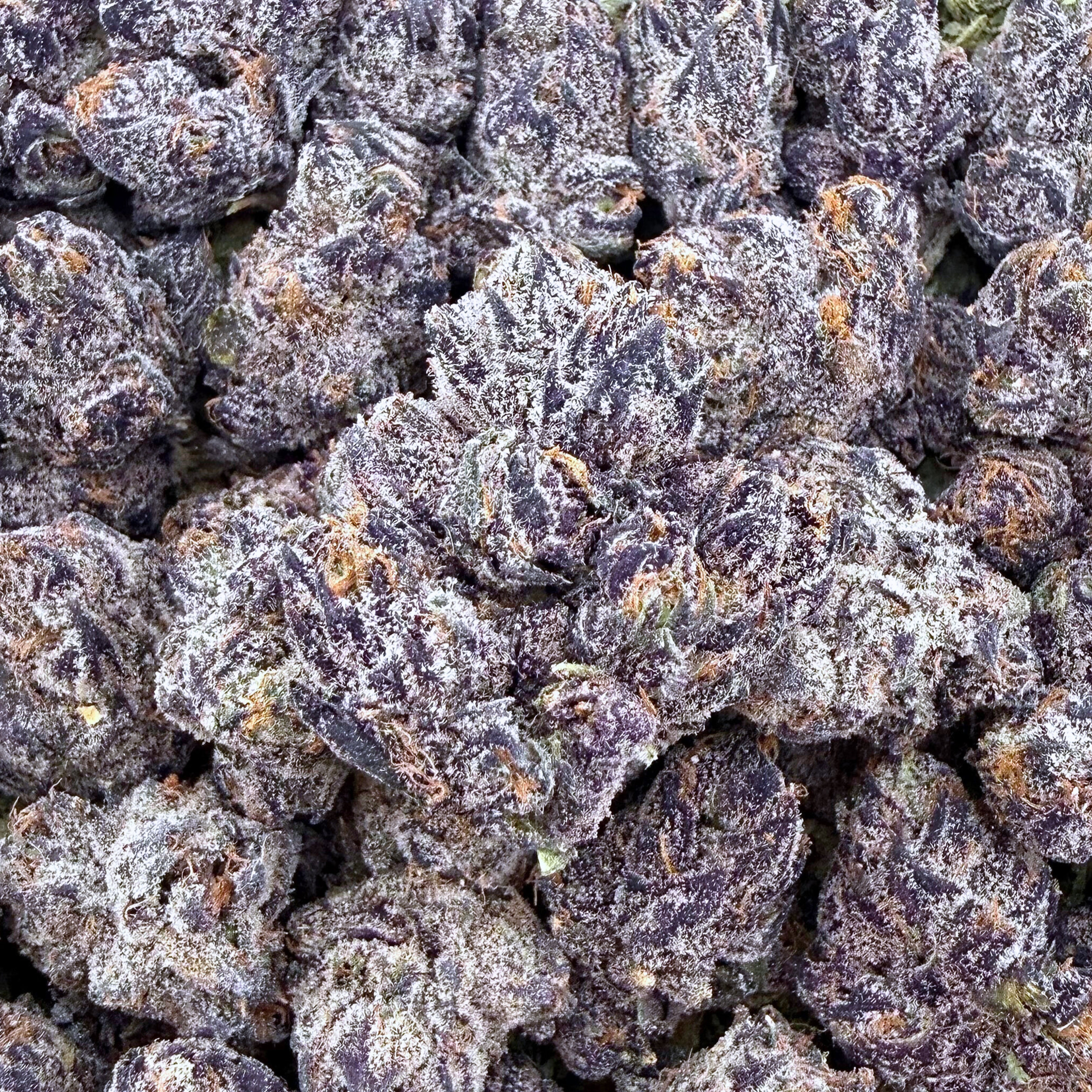 Ice Cream Sundae Smalls- Hybrid  ( Wholesale )