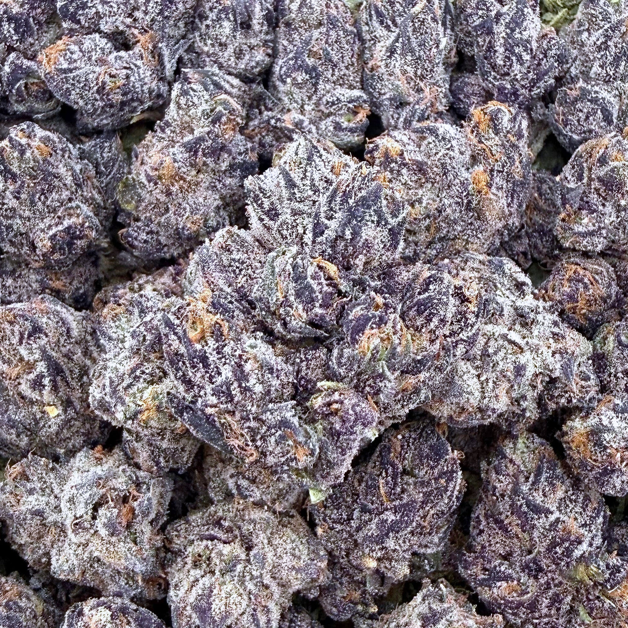 Ice Cream Sundae Smalls- Hybrid