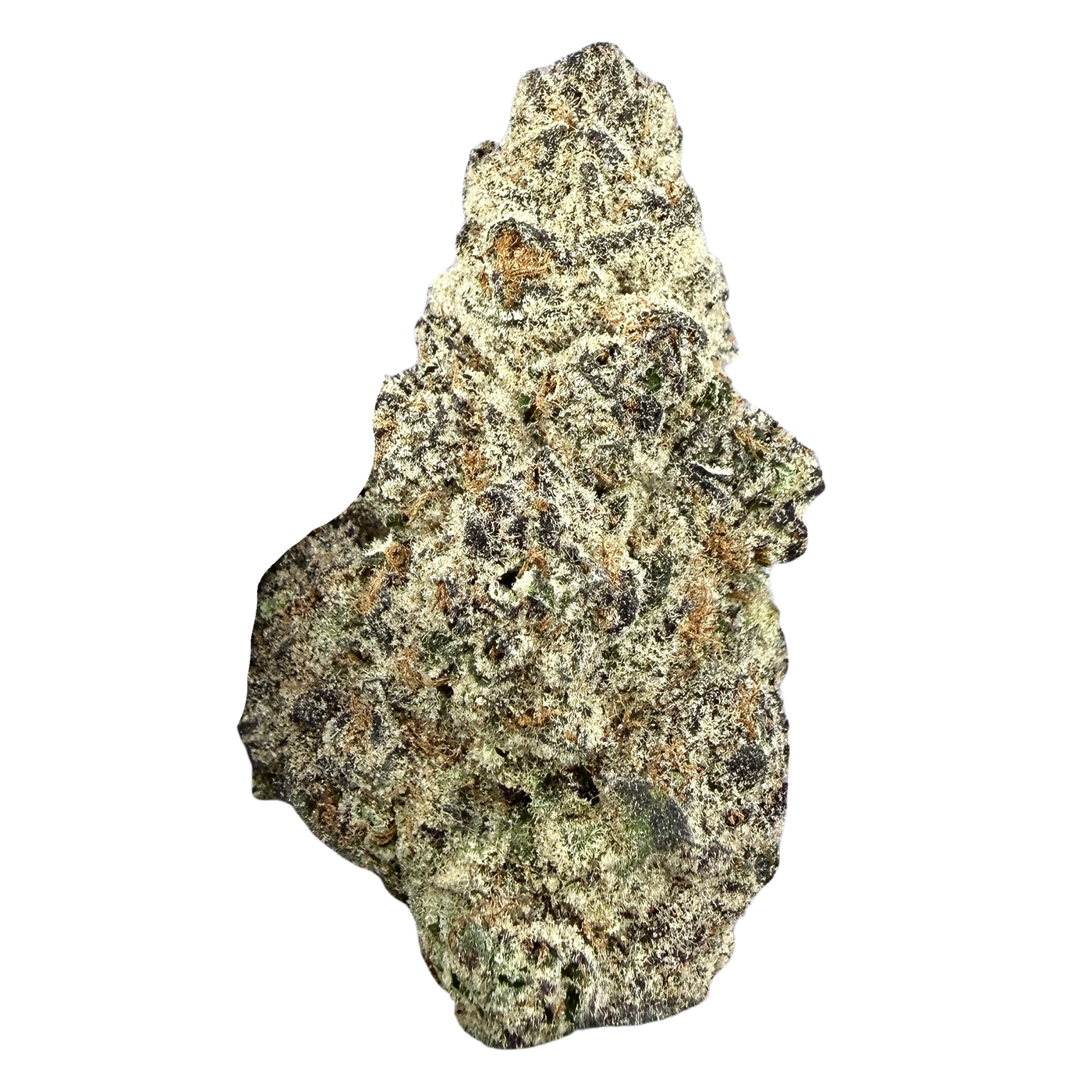 Sunset Sherbert - Indica Hybrid