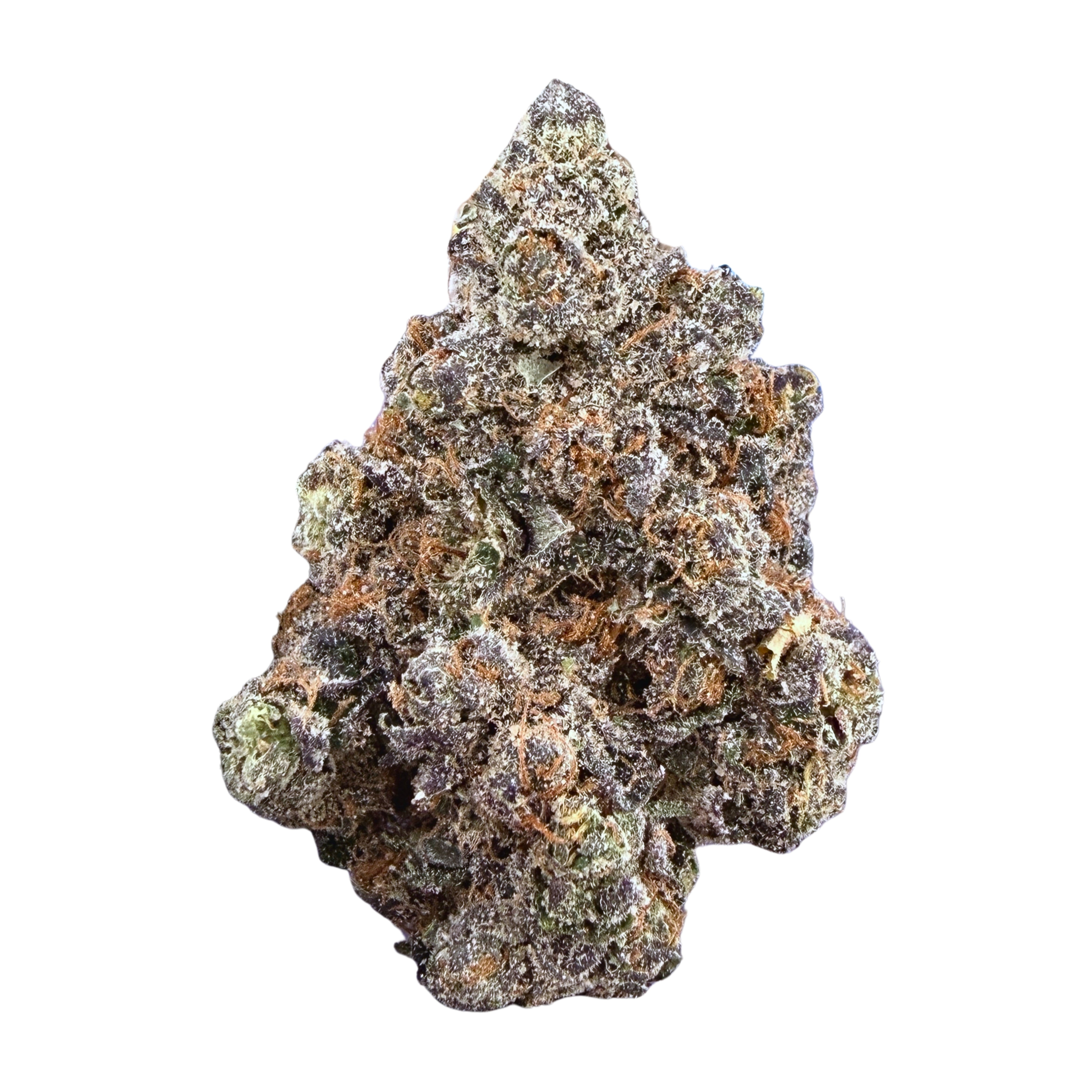 Sunset Sherbert - Indica Hybrid