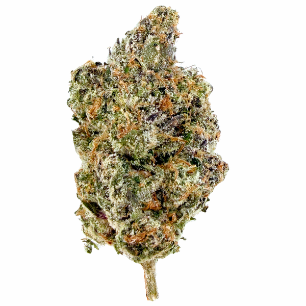 Super Boof- Hybrid