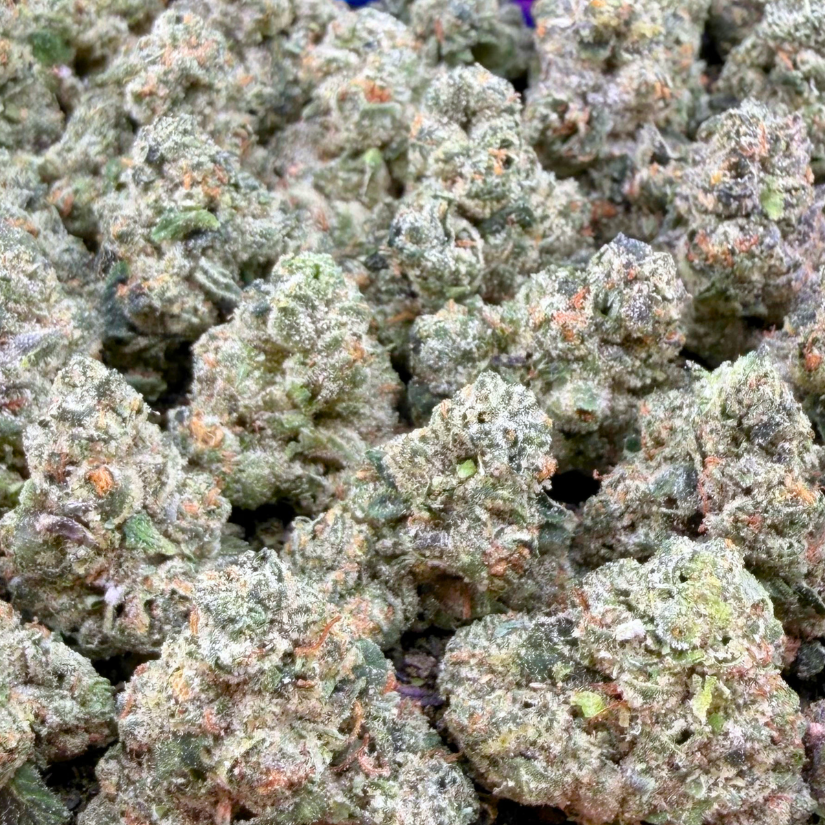 Exotic Toad Venom Smalls- Indica Hybrid