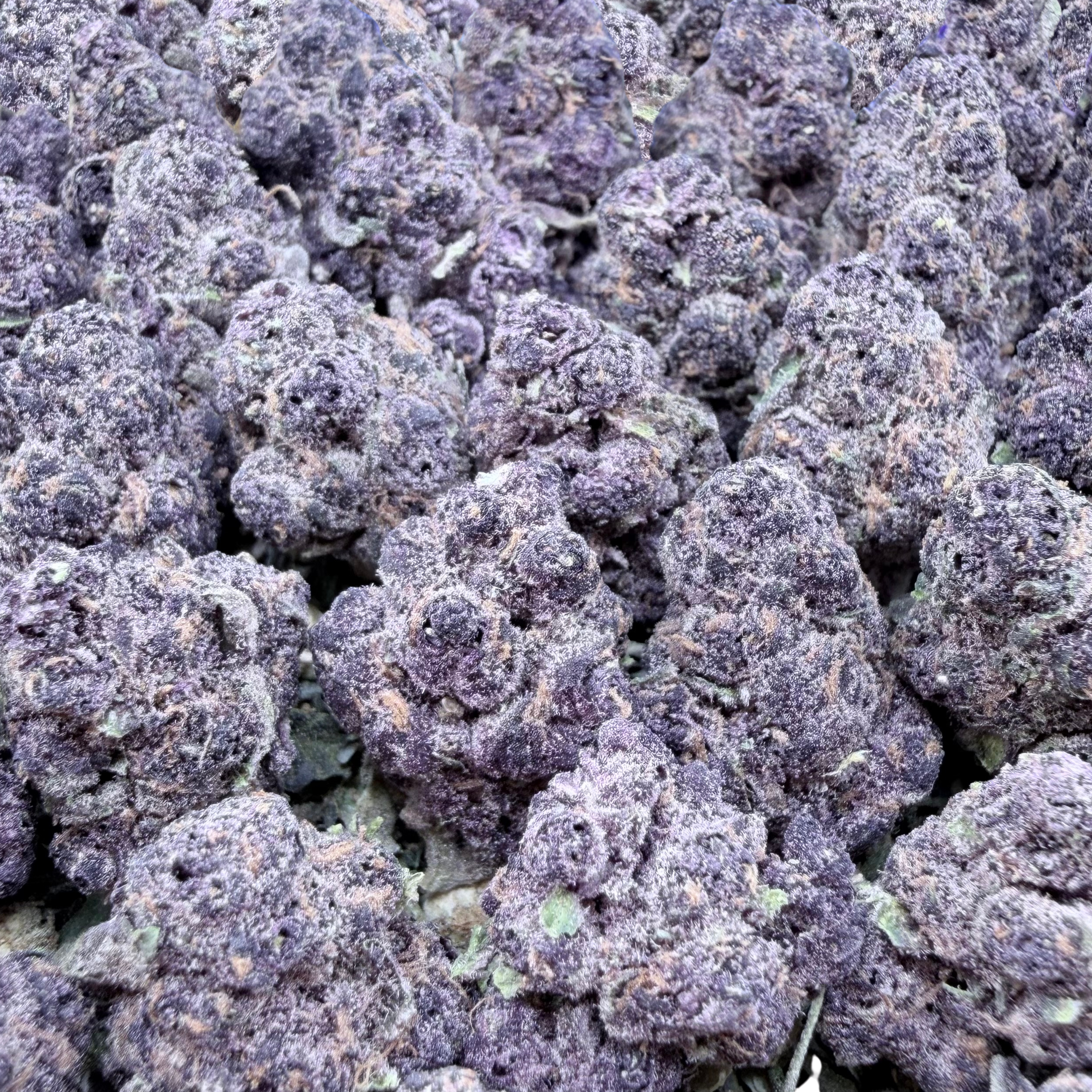 Tropicana Cookies Smalls- Sativa Hybrid