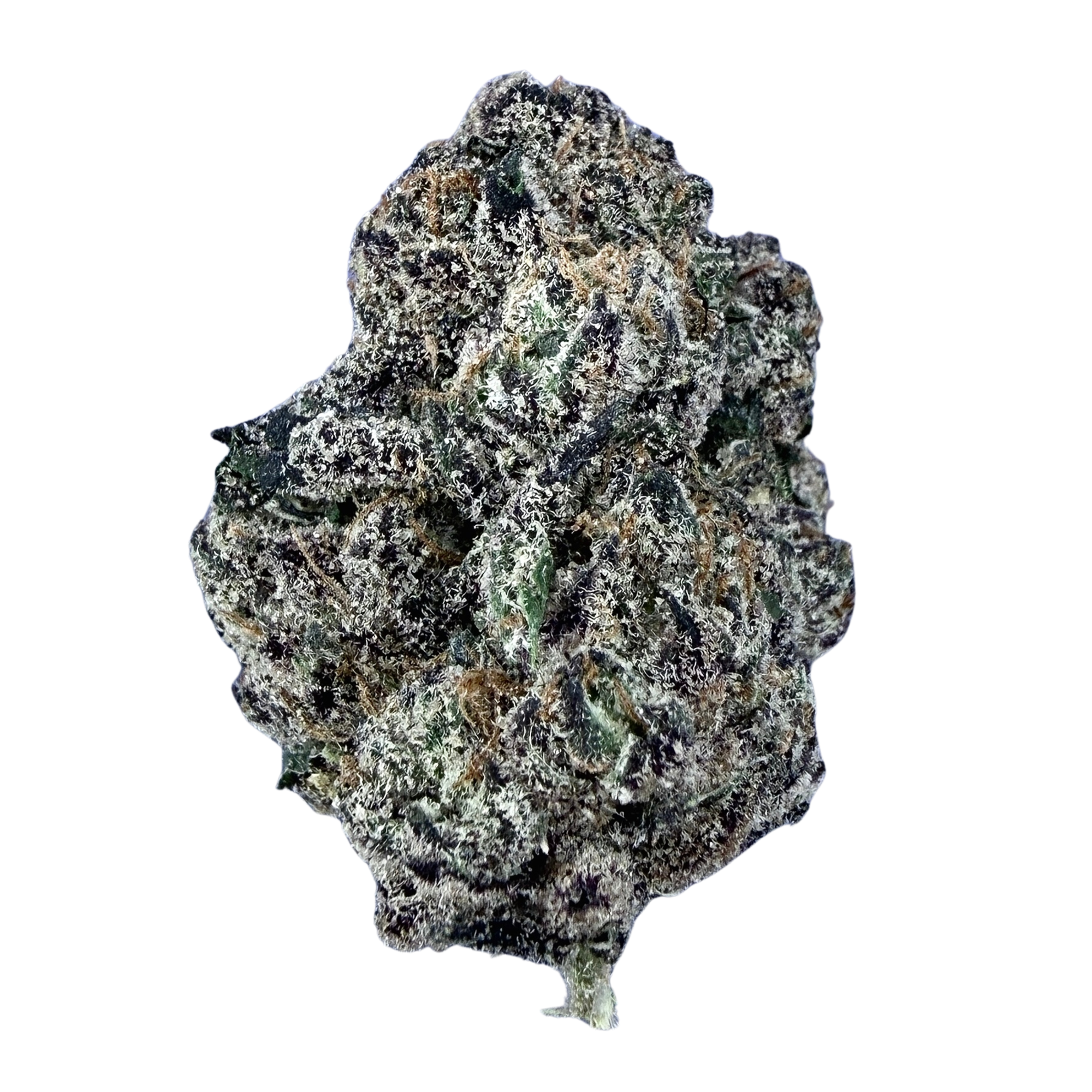 White Gummy- Hybrid