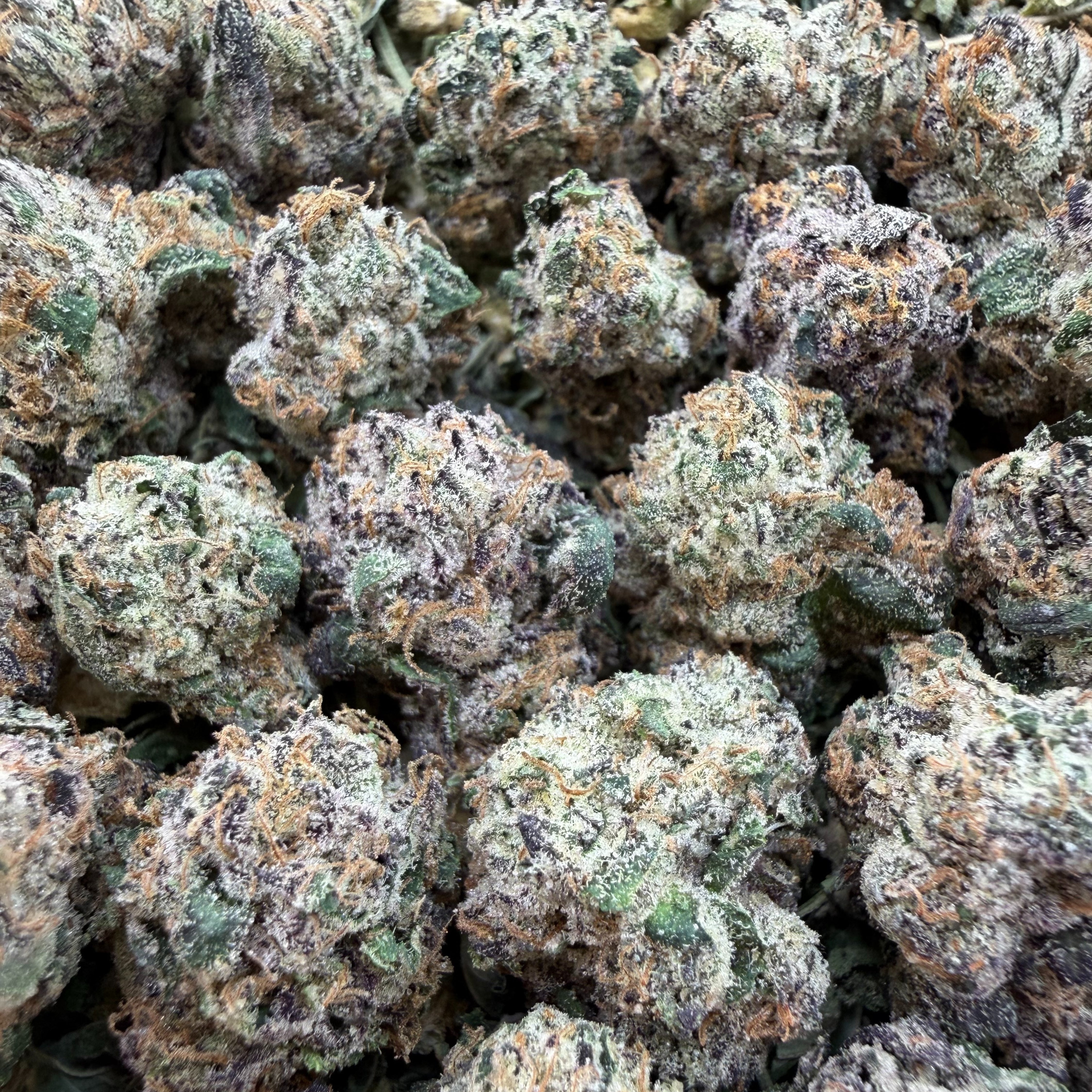 White Apple Runtz Smalls - Hybrid ( Wholesale )