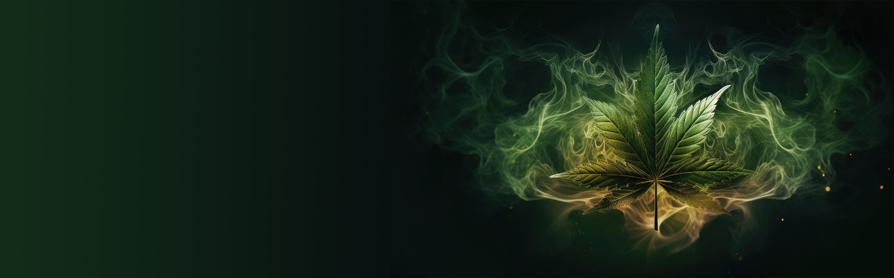 slider image slider_item_qQhx4y