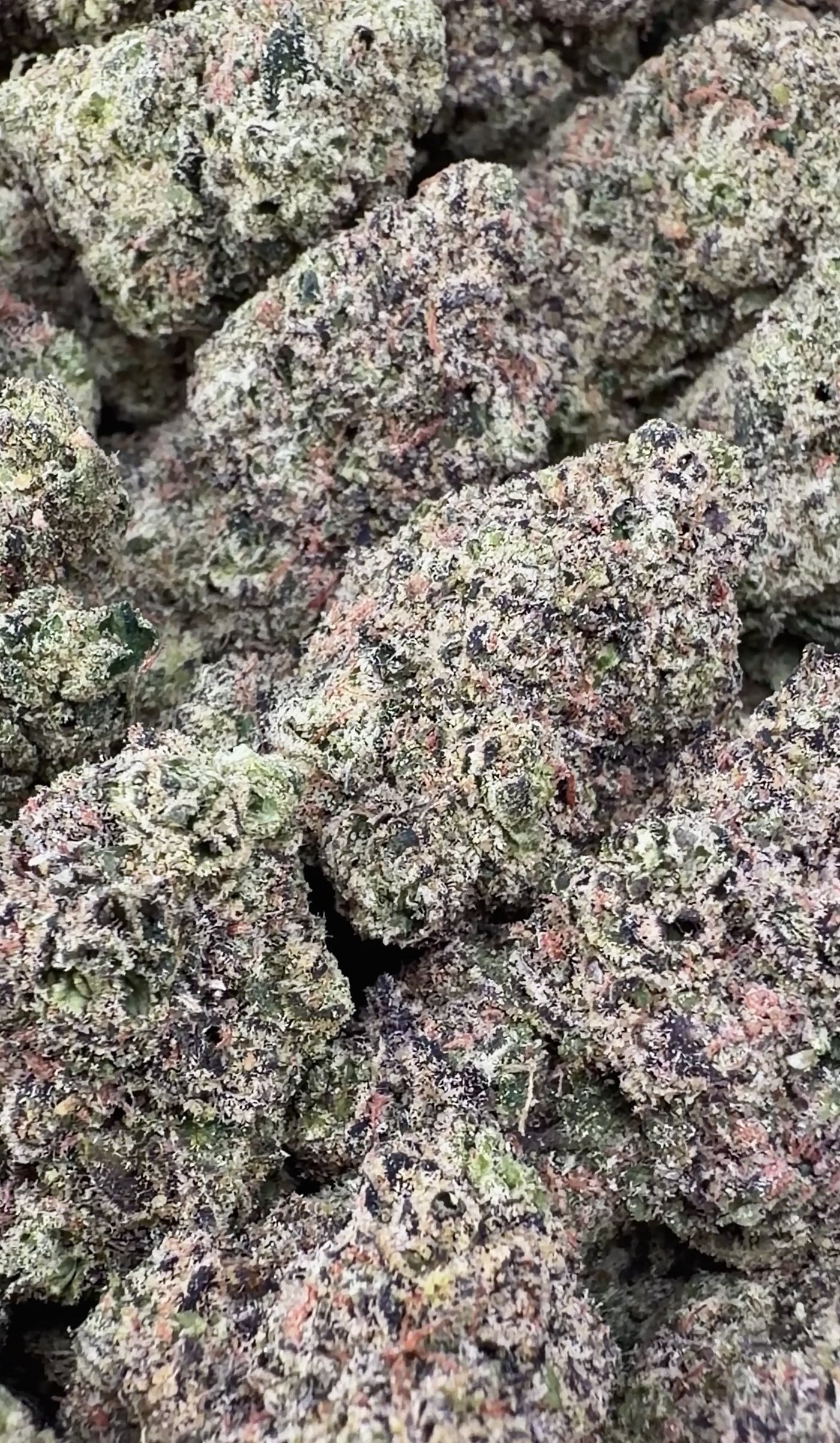 Grape Candy- Indica Hybrid