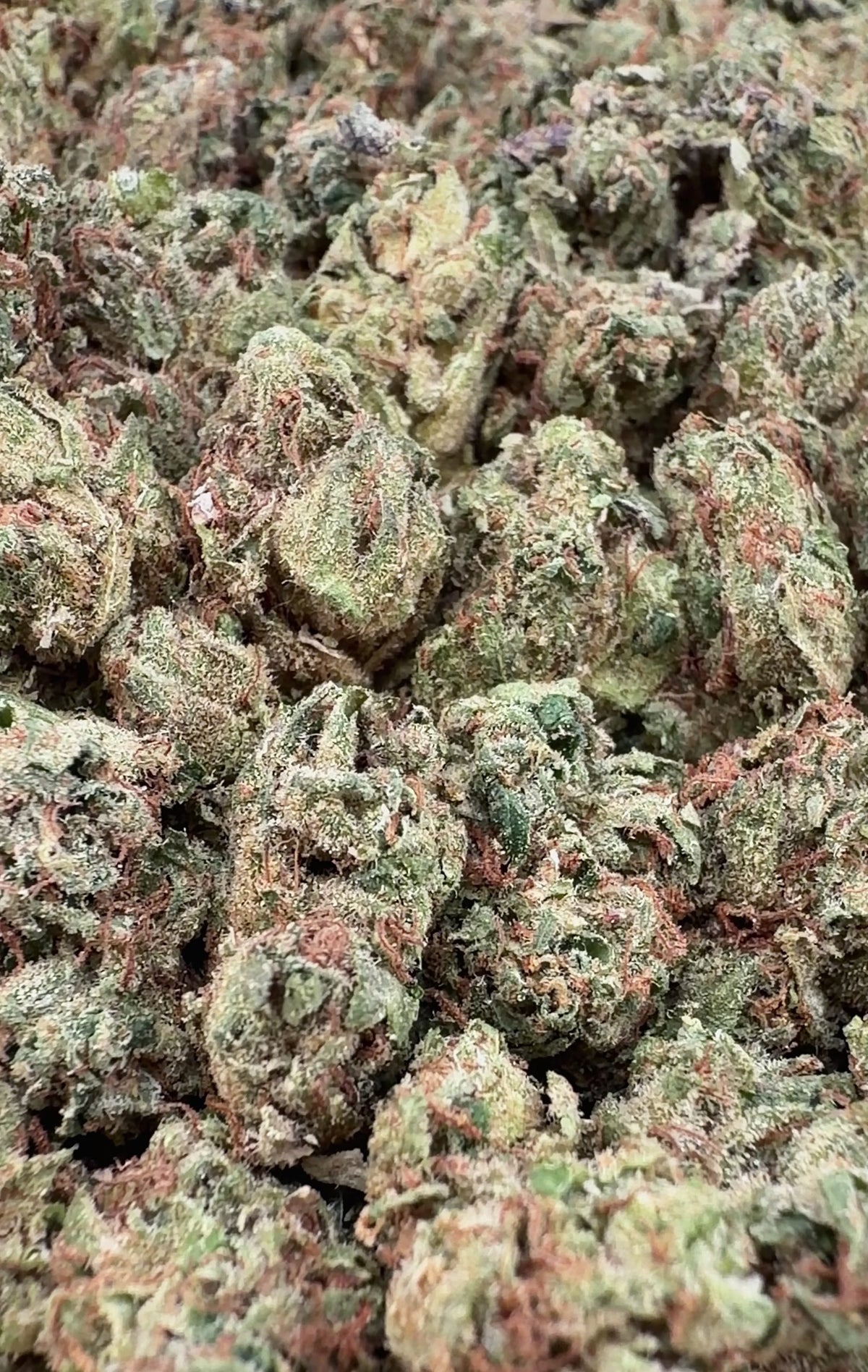 (Bogo 14g Get 14g Free)Super Runtz Smalls- Hybrid