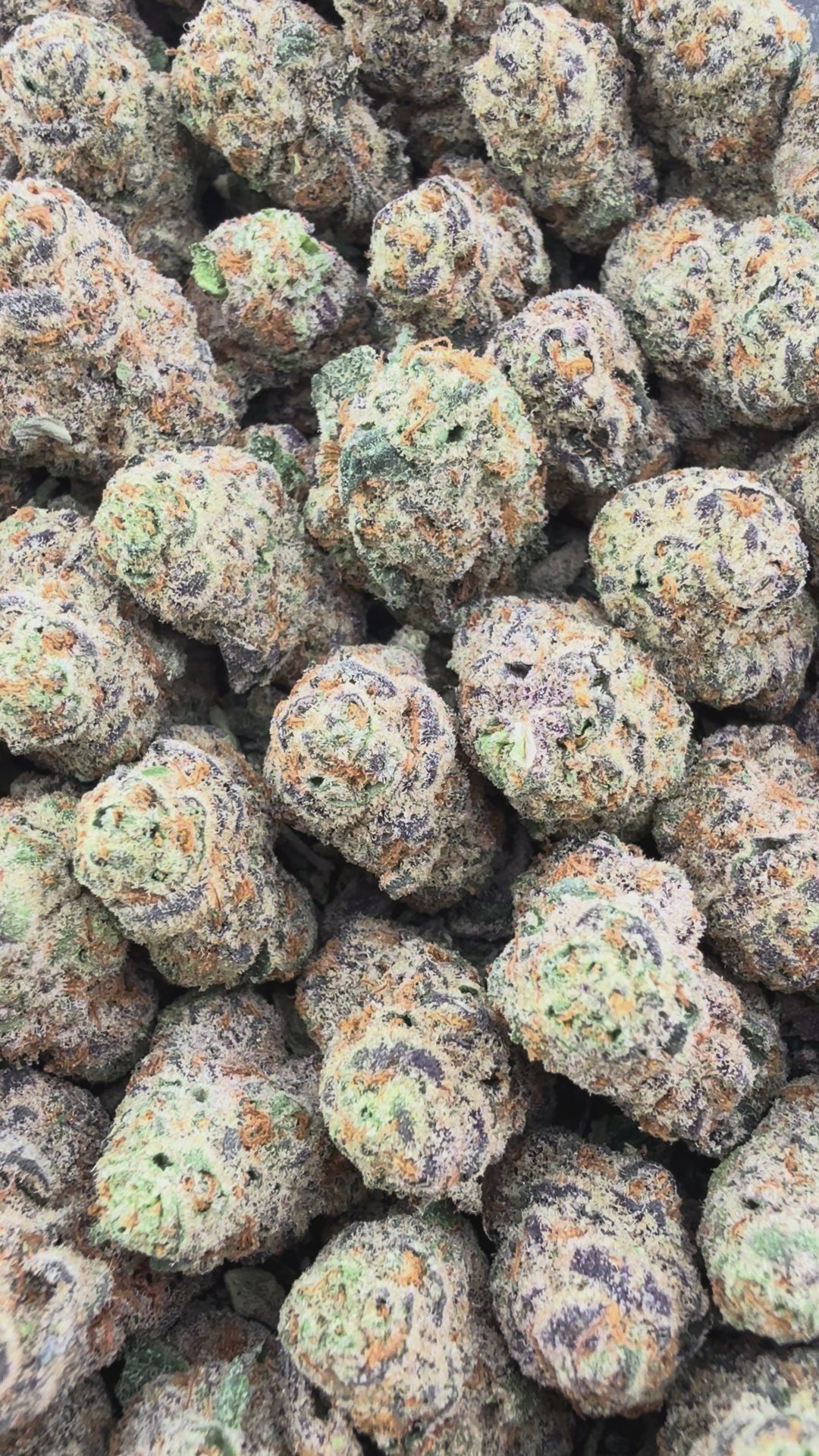 Grape Gas Smalls - Indica  ( Wholesale )